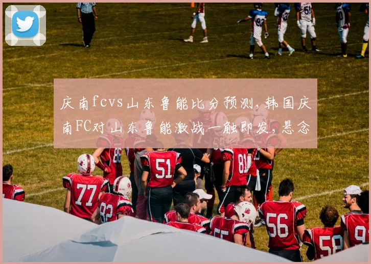 庆南fcvs山东鲁能比分预测,韩国庆南FC对山东鲁能激战一触即发,悬念重重